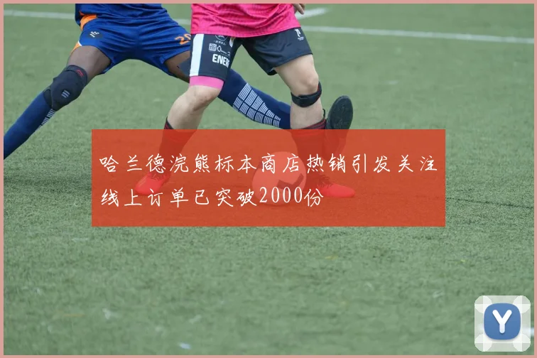 哈兰德浣熊标本商店热销引发关注线上订单已突破2000份